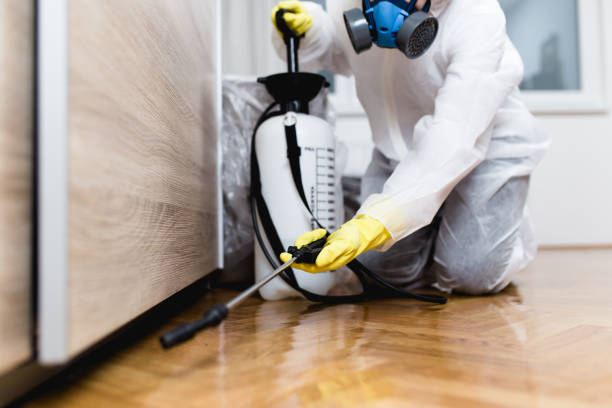Reliable Wrightwood, CA Pest Control Solutions