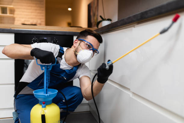 Best Termite Control Services  in Wrightwood, CA