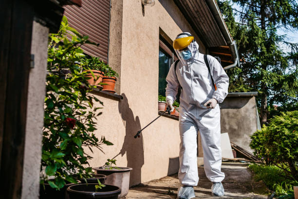 Best Cockroach Control Services  in Wrightwood, CA