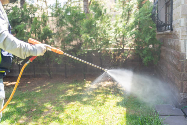 Wildlife Control Services in Wrightwood, CA