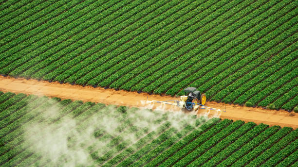 Best Commercial Pest Control Services  in Wrightwood, CA