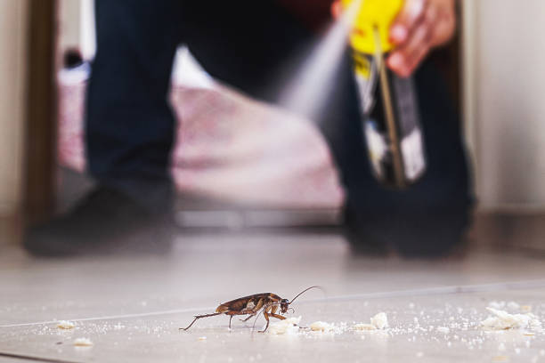 Best Wildlife Control Services  in Wrightwood, CA