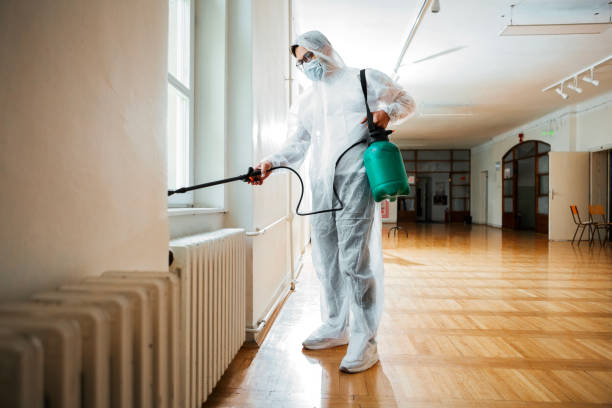 Best Mosquito Control Services  in Wrightwood, CA
