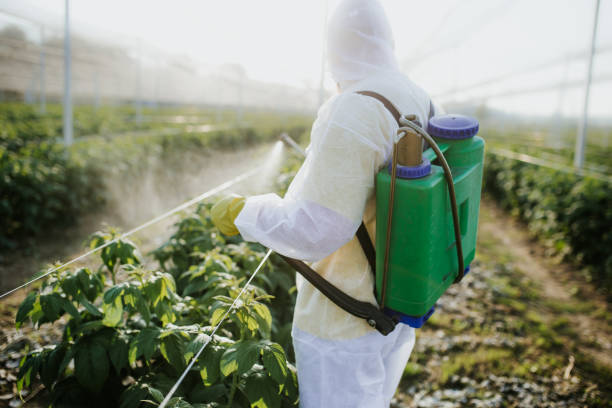 Pest Control Cost in Wrightwood, CA